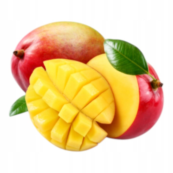 Recomed Drink Activlab mango 65 g odżywka na niedożywienie