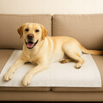 Maty Podkłady higieniczne chłonne dla psa 60x90 cm do nauki sikania 30 szt