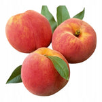 Neoclinic Pomadka ochronna UV wit. E Brzoskwinia Wosk pszczeli Nawilżająca